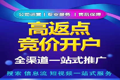 网络推广竞价策略案例分析